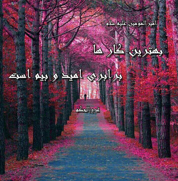 حدیثی از امیر المومنین در مورد بهترین کارها